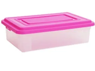 Gemplast Organizador B/Cama 36L.
