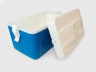 Deses Plast Conservador 11 litros