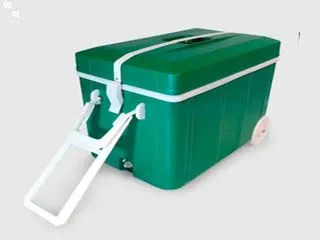 Deses Plast Conservadora 40 L. c/Ruedas
