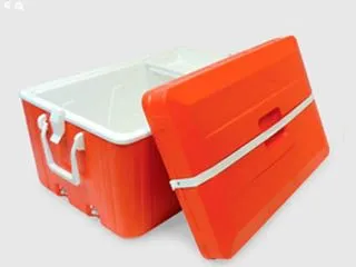 Deses Plast Conservadora 70 L. 2canillas
