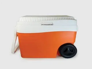 Deses Plast Heladera Portatil 36L. c/Rued