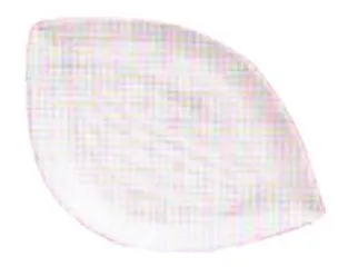 Krauser Fuente Hoja Grande 25x16