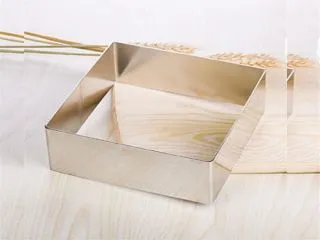 Acero Molde p/Torta Cuadrado 20x8cm